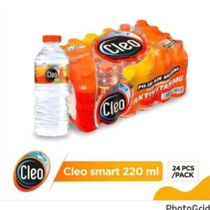 Air Mineral Cleo(1x24)